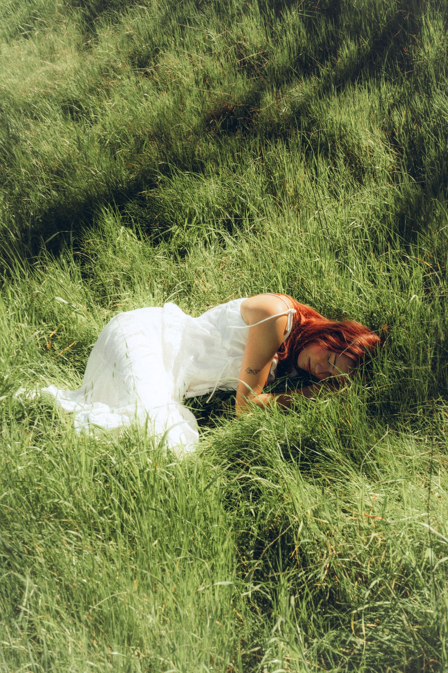 A brown rooster resting in tall green grass on a sunny day.
