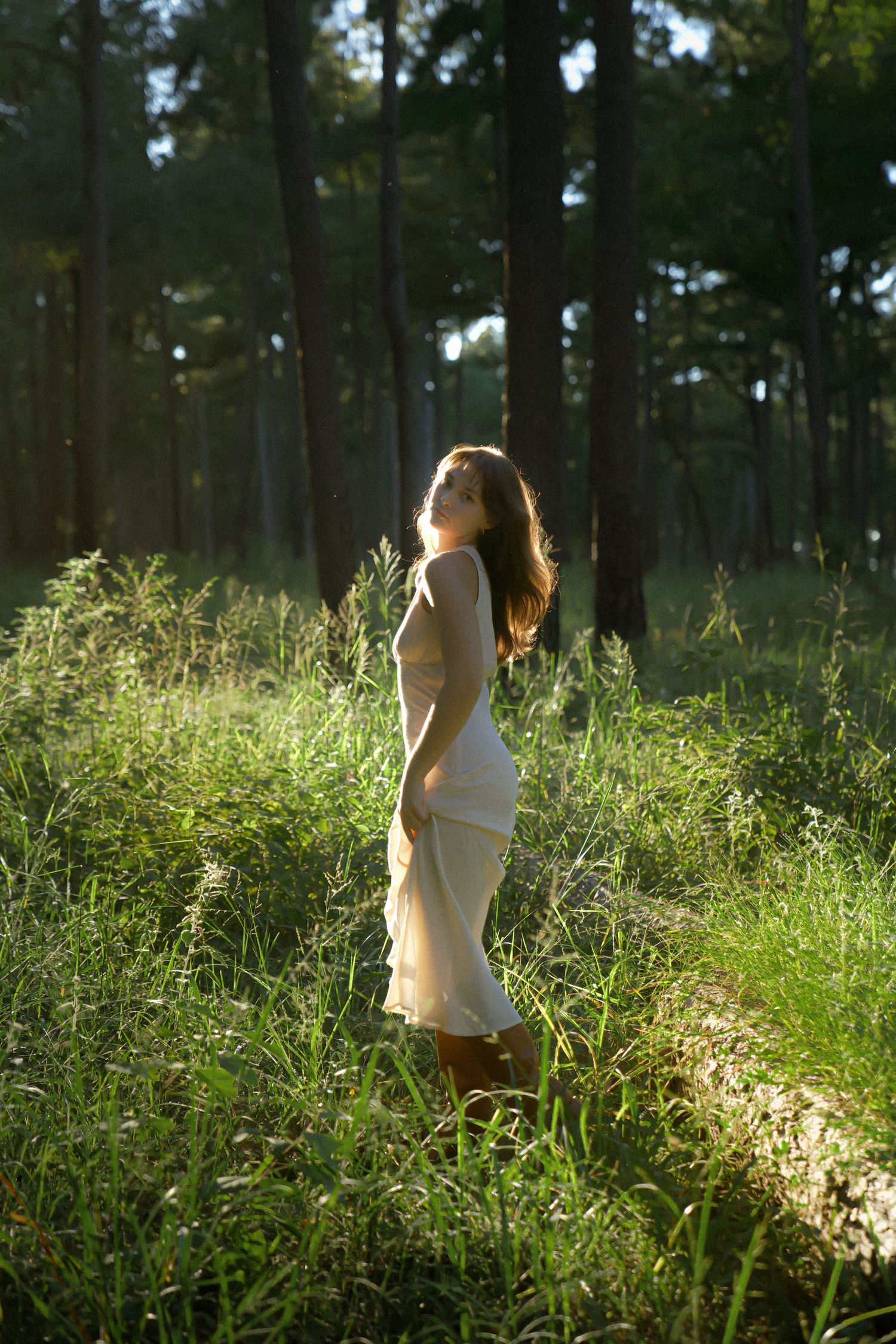 A person in a white dress stands in tall grass while golden sunlight streams through pine trees in a forest.