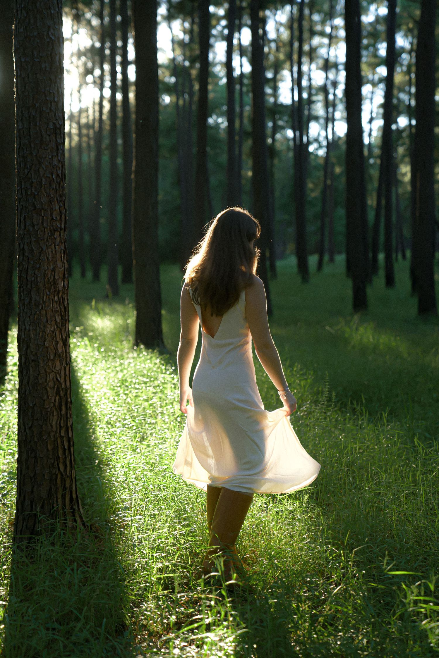 A person in a flowing white dress walks through a sun-dappled pine forest.