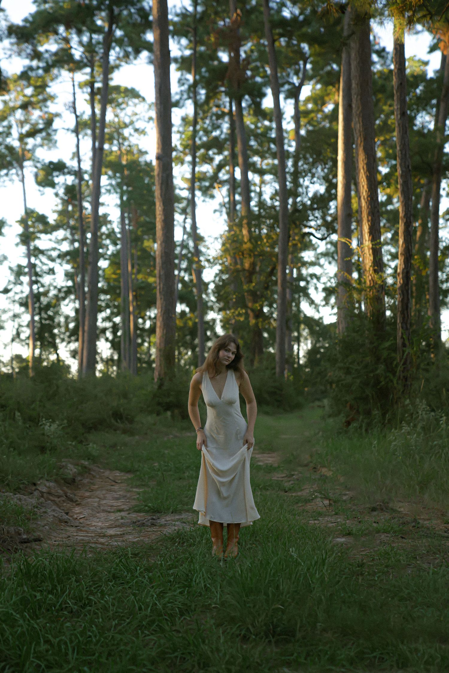 Serene forest pathway lined with tall pines and soft evening light.
