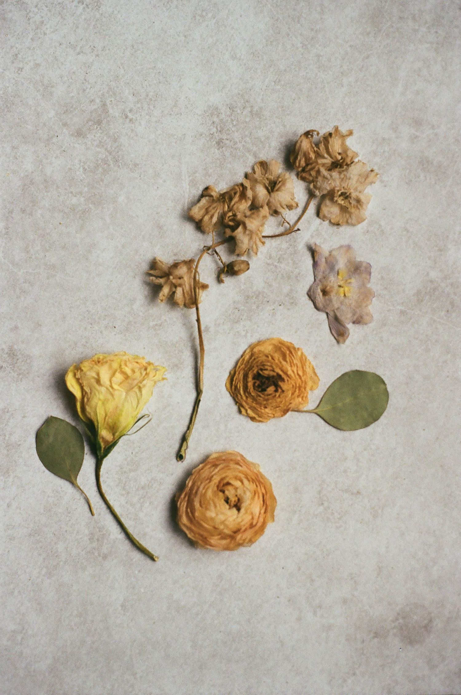 Dried vintage flowers including yellow and orange ranunculus blooms and green leaves arranged on light textured background.