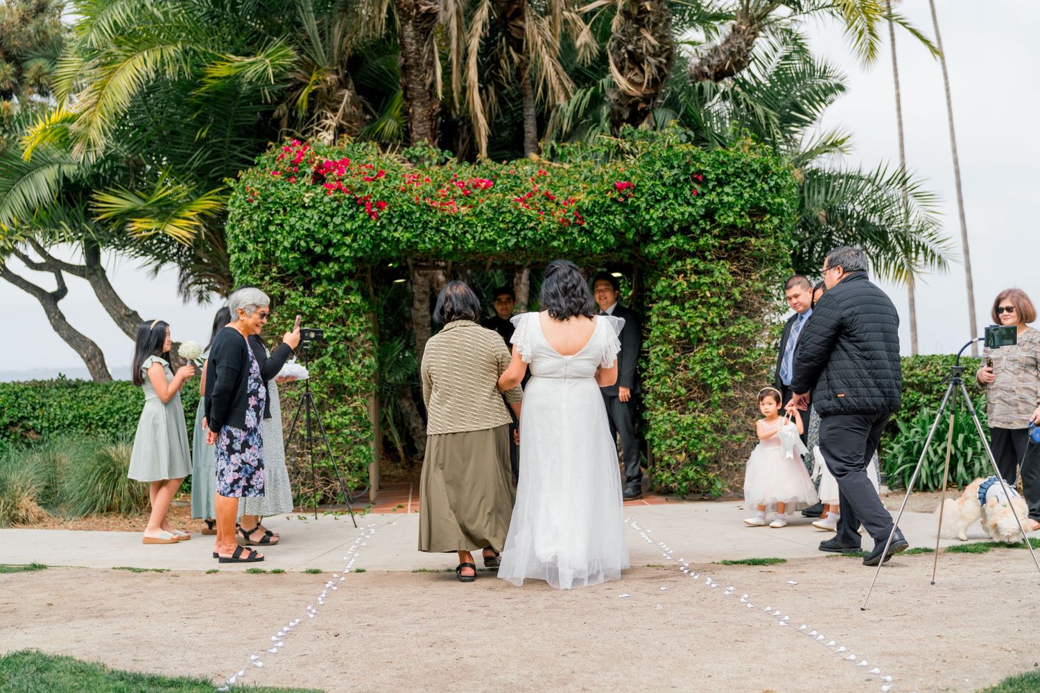 Wedding photography session taking place in a lush tropical garden setting with palm trees and flowering bushes.