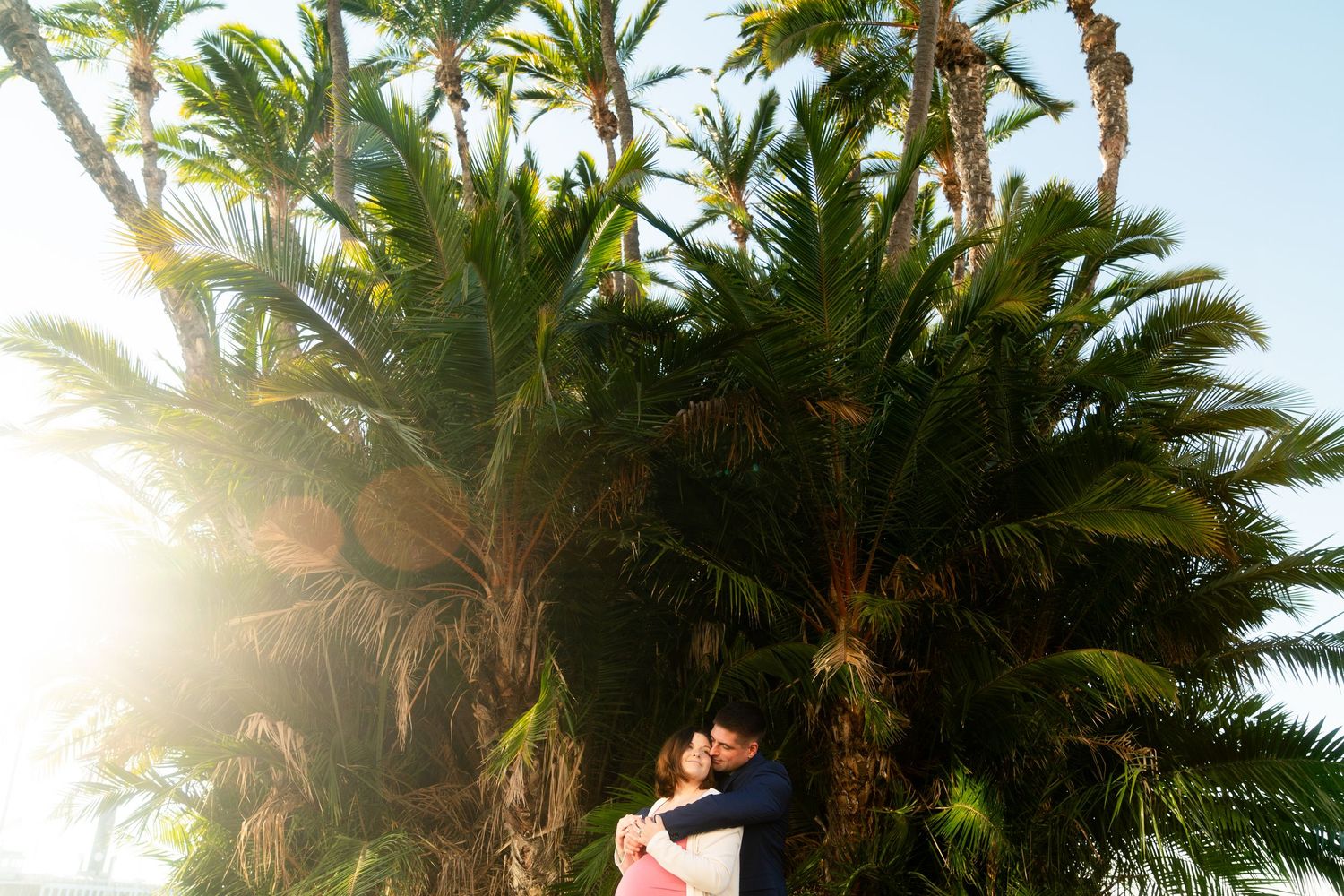 Palm trees sway against a bright sunny sky with golden sunlight filtering through their fronds and leaves.