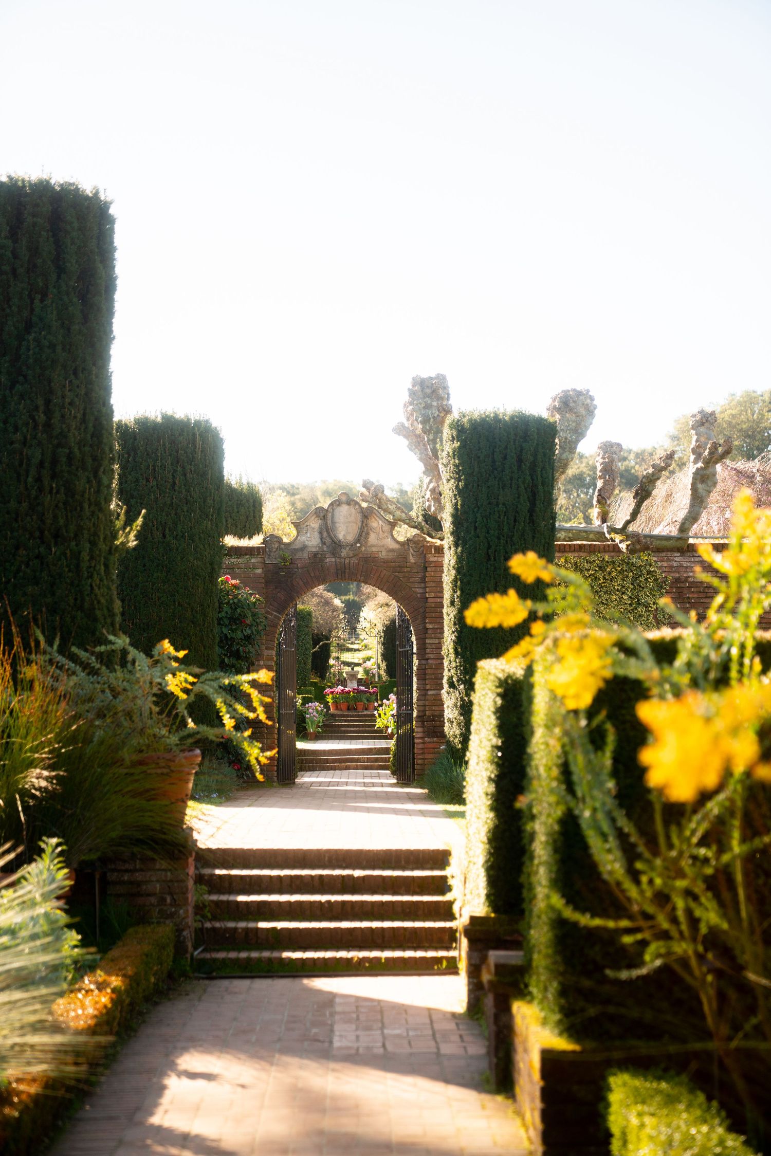 Stone archway and steps in a formal garden with tall cypress trees and yellow flowers blooming along the walkway.