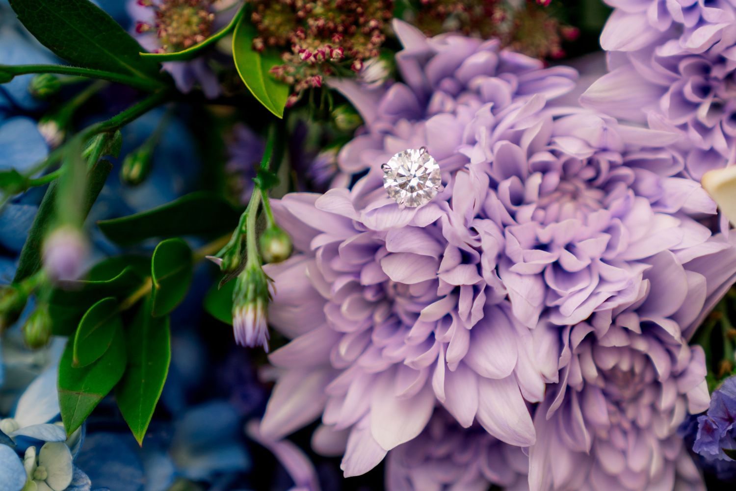 A sparkling diamond engagement ring nestled among soft purple chrysanthemum flowers with green foliage.