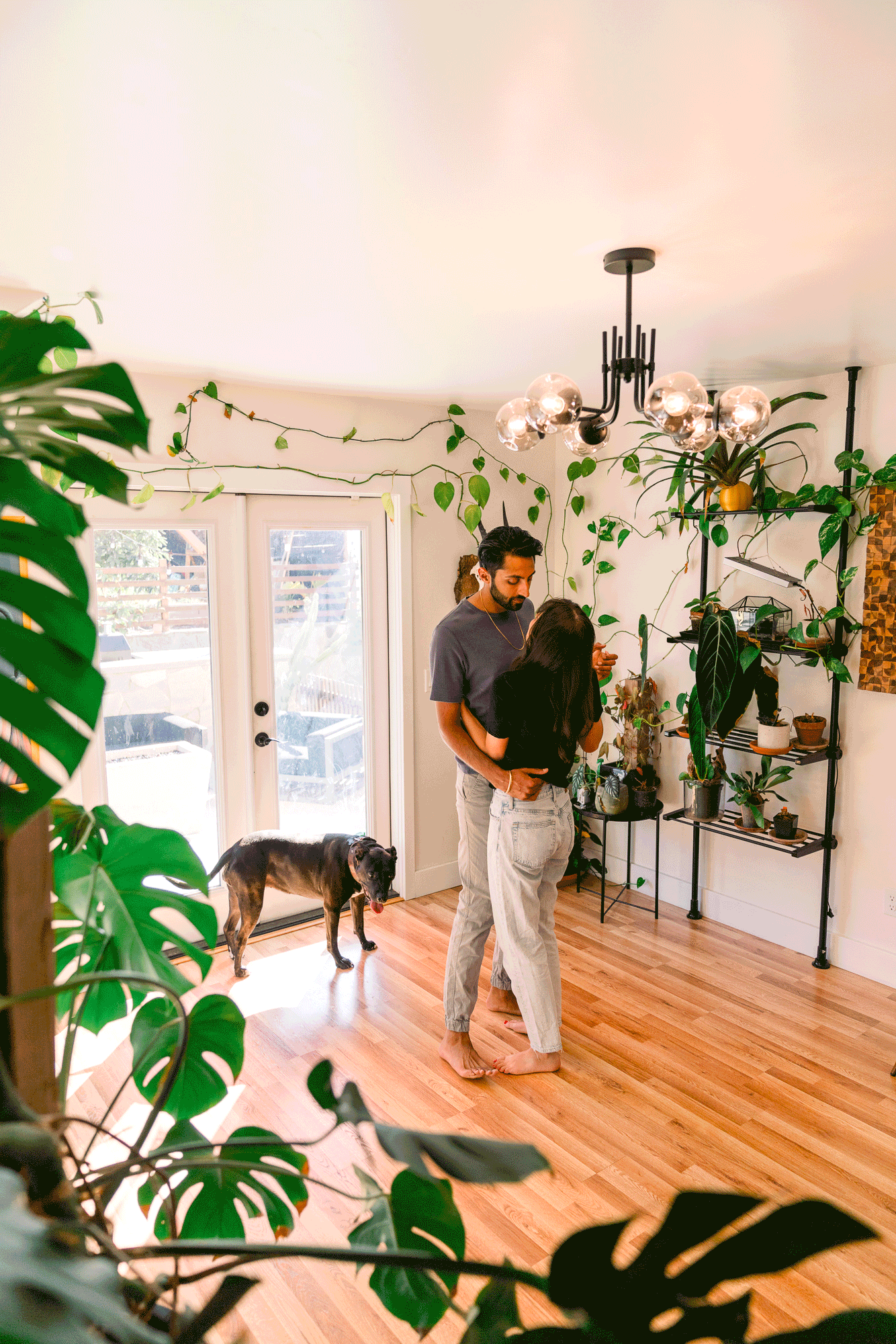 Bright indoor space with hardwood floors, lush plants, and a dog in cozy sunlit room with hanging shelves and plants.