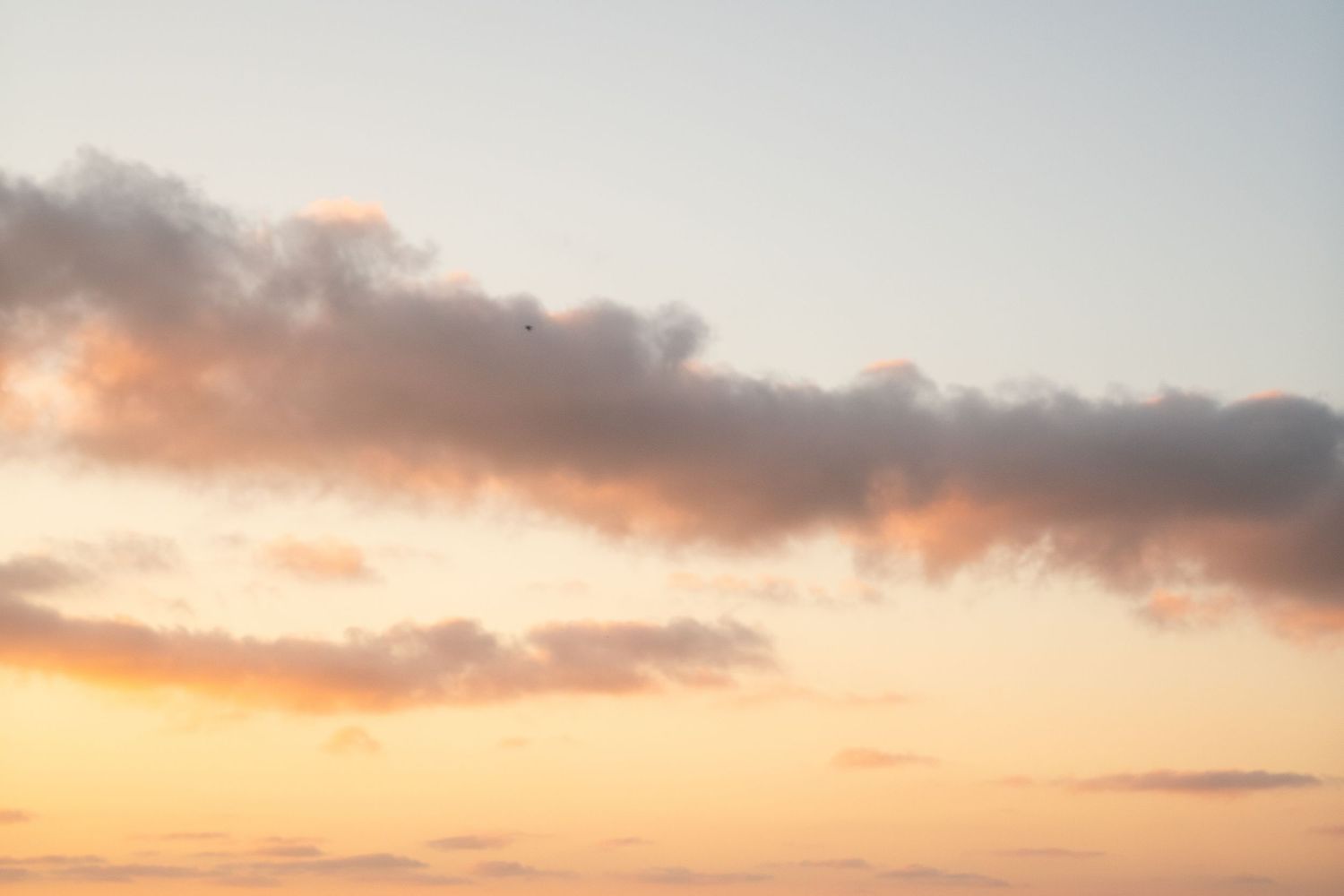 A dreamy sunset sky with wispy dark clouds silhouetted against warm golden and peach-colored clouds.