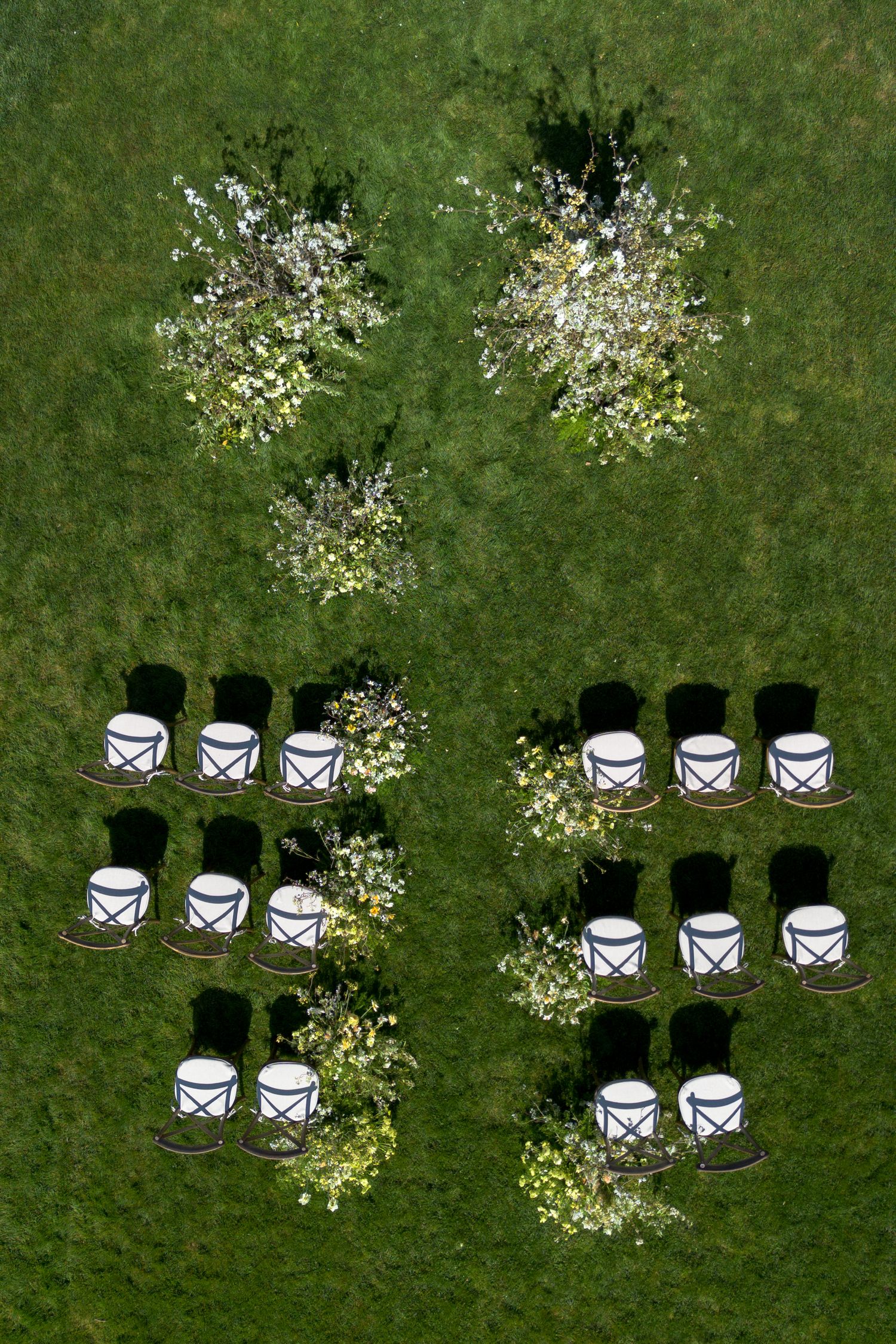 Aerial view of white outdoor wedding chairs arranged in sections with blooming cherry blossom trees on green lawn.