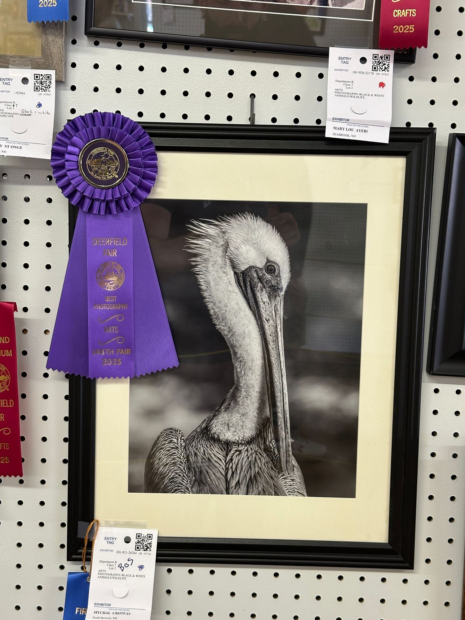 Fv3 Media New England Photography - Blue Ribbon award at Deerfield New Hampshire state fair photography display
