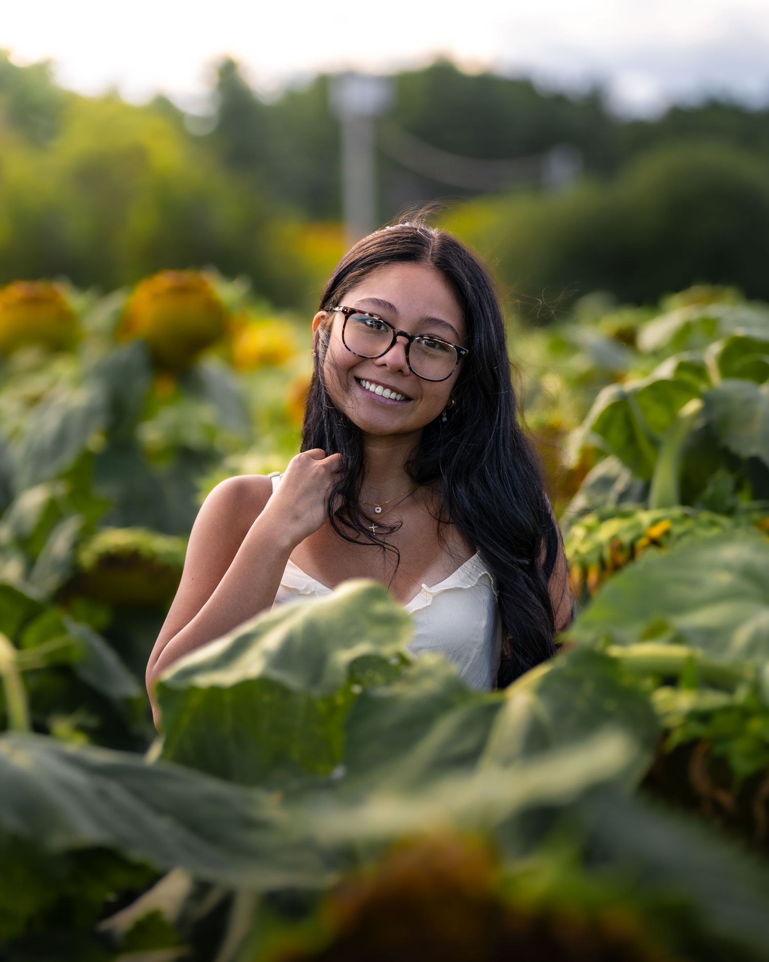 Fv3 Media senior photo in a field of flowers New Hampshire photography
