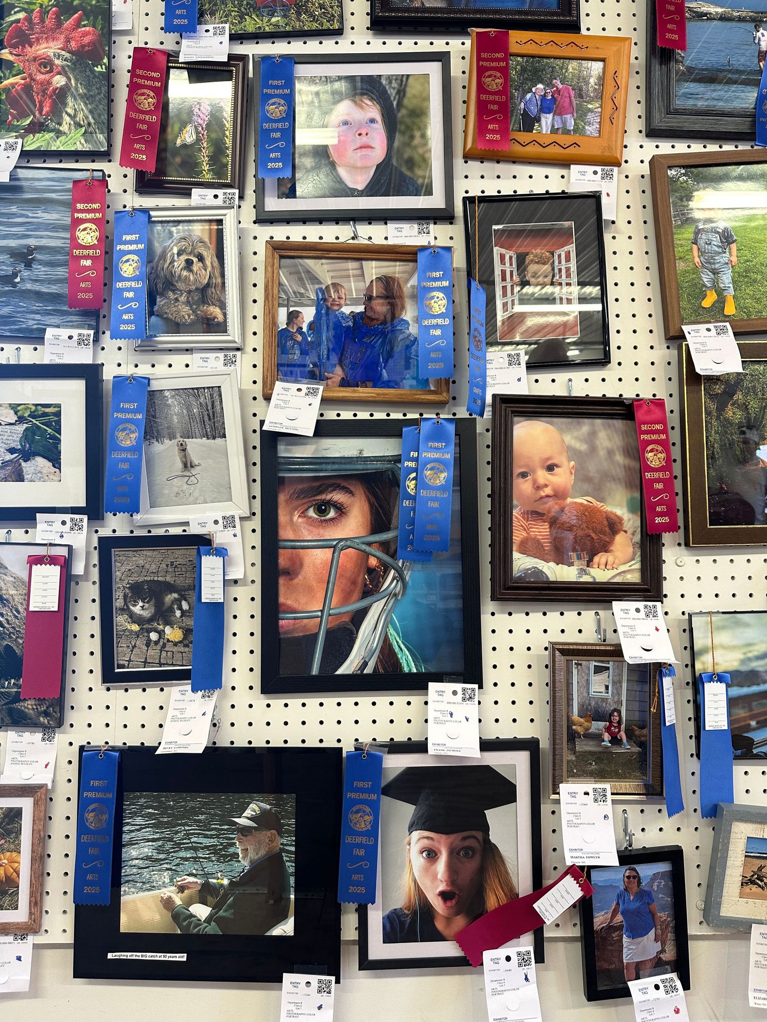 Fv3 Media New England Photography - Blue Ribbon award at Deerfield New Hampshire state fair photography display