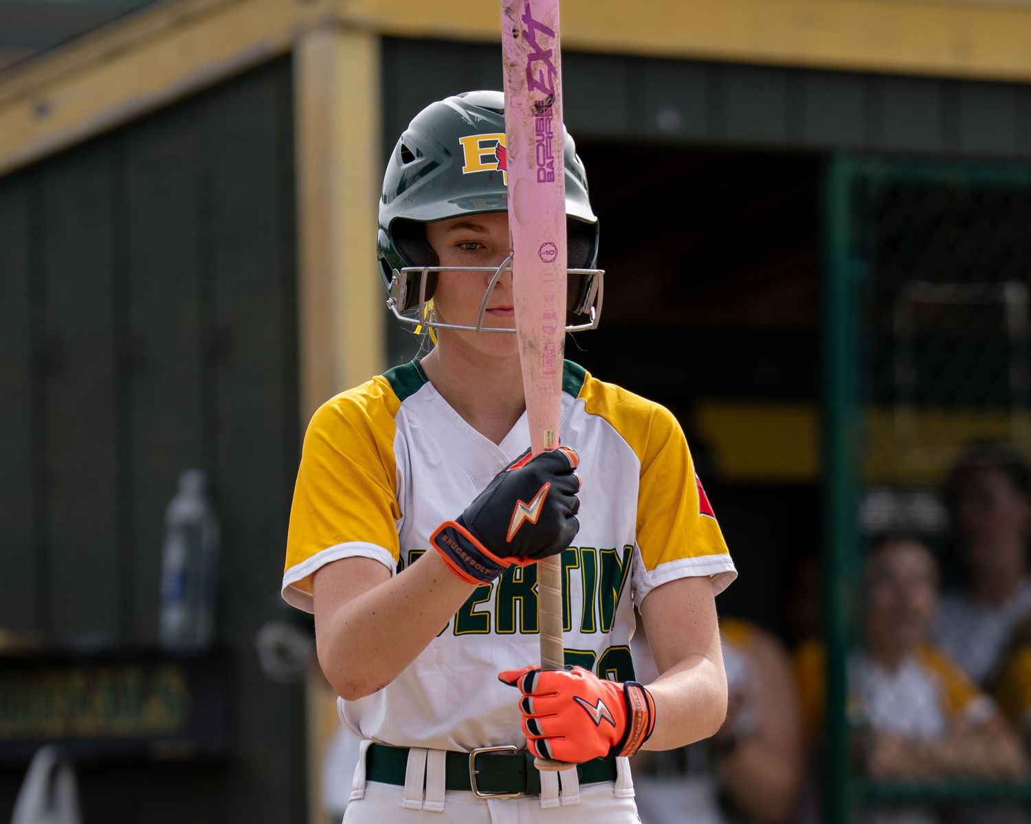 Fv3 sports photography Bishop Guertin girls softball Fv3 Athlete Ambassador Shayne Amico moment of focus in the batters box New Hampshire