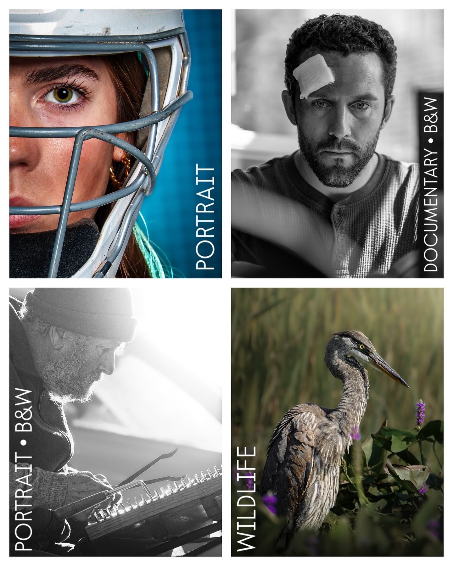 Fv3 Media New England Photography - Deerfield New Hampshire state fair blue ribbon photography winning photo collection portraits wildlife