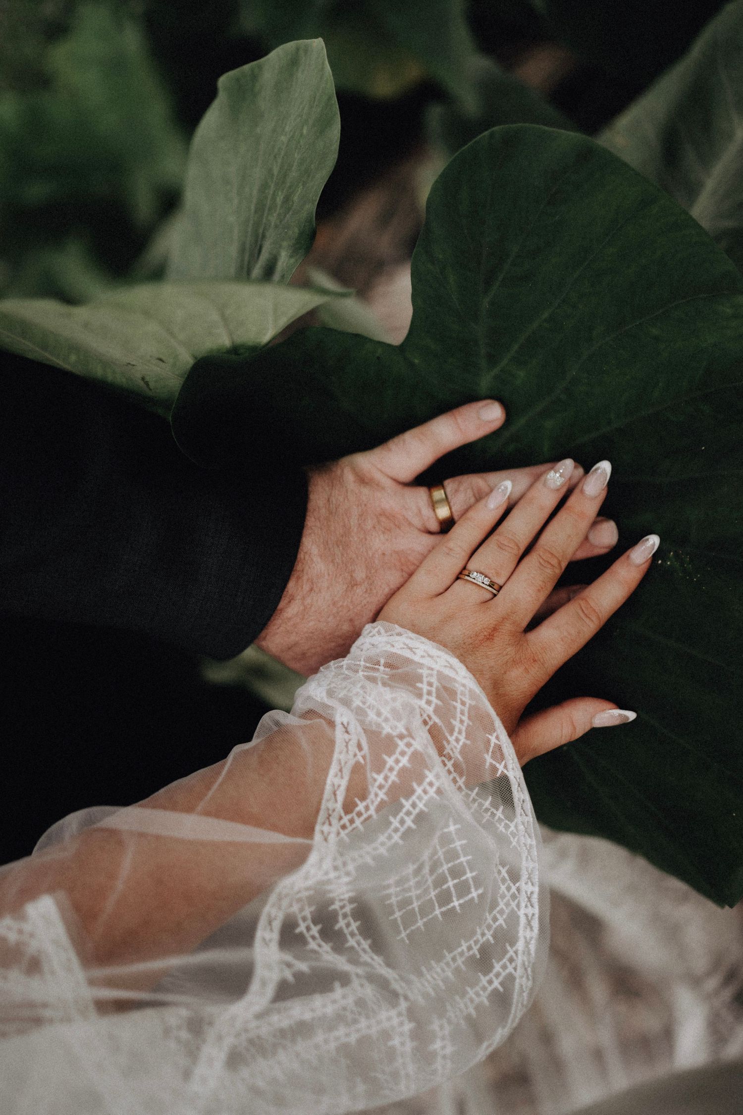 Two hands wearing wedding rings rest against green foliage with delicate lace sleeve detail visible in the photo.