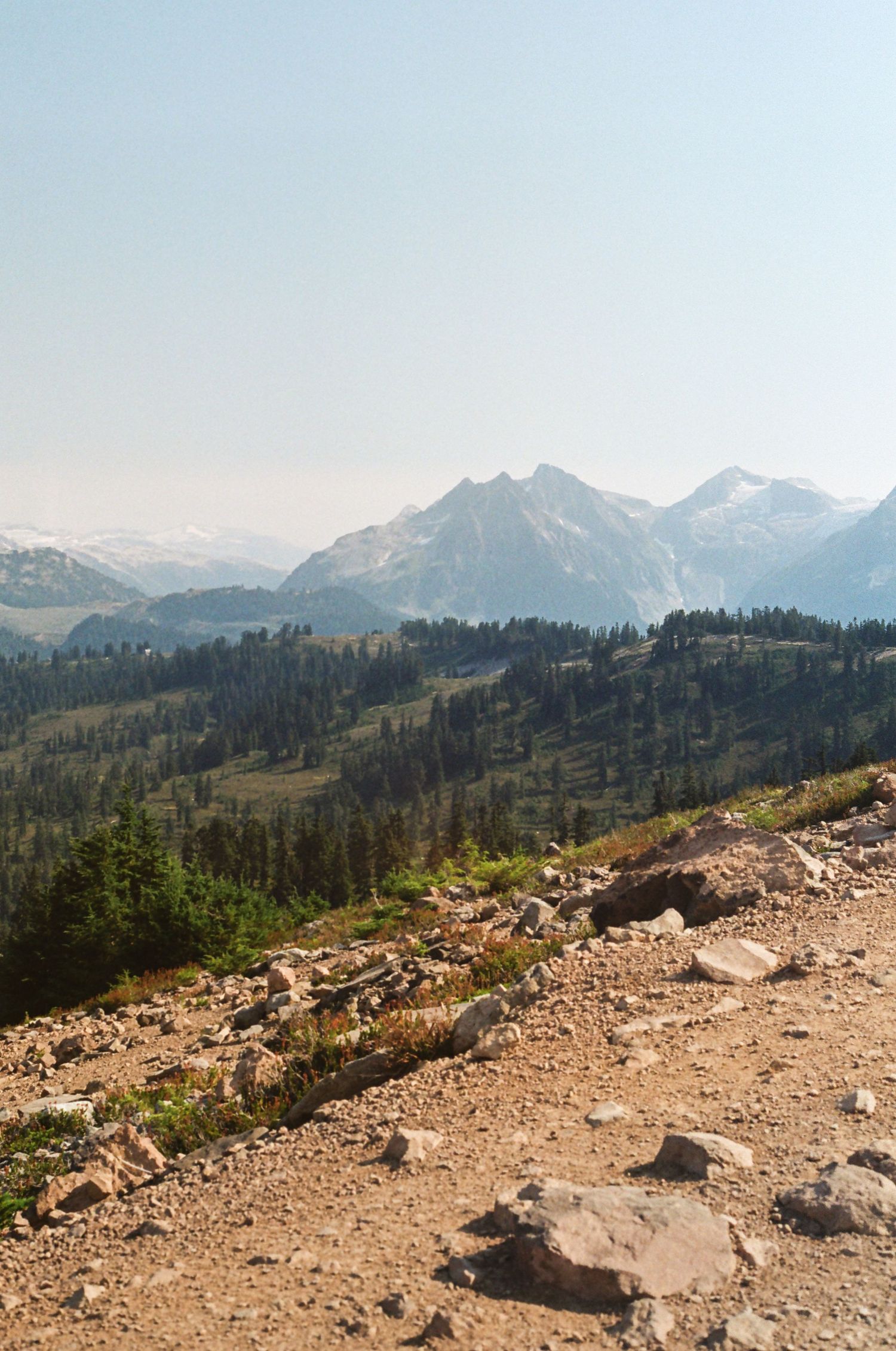 Rocky mountain trail overlooks snow-capped peaks and forested valleys in Mount Rainier National Park.