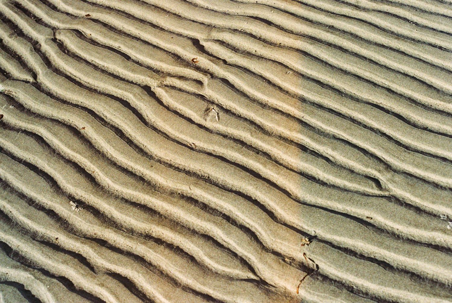Close-up of rippled sand patterns on a beach, showing natural wave-like textures in golden brown sand.
