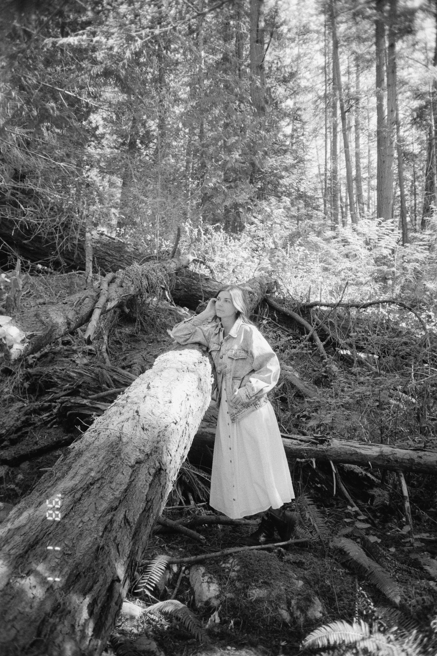Comox Valley Wedding Photographer. Elopement. Tofino. Adventurous. Nature Inspired. Outdoors lover. Candid. Natural.