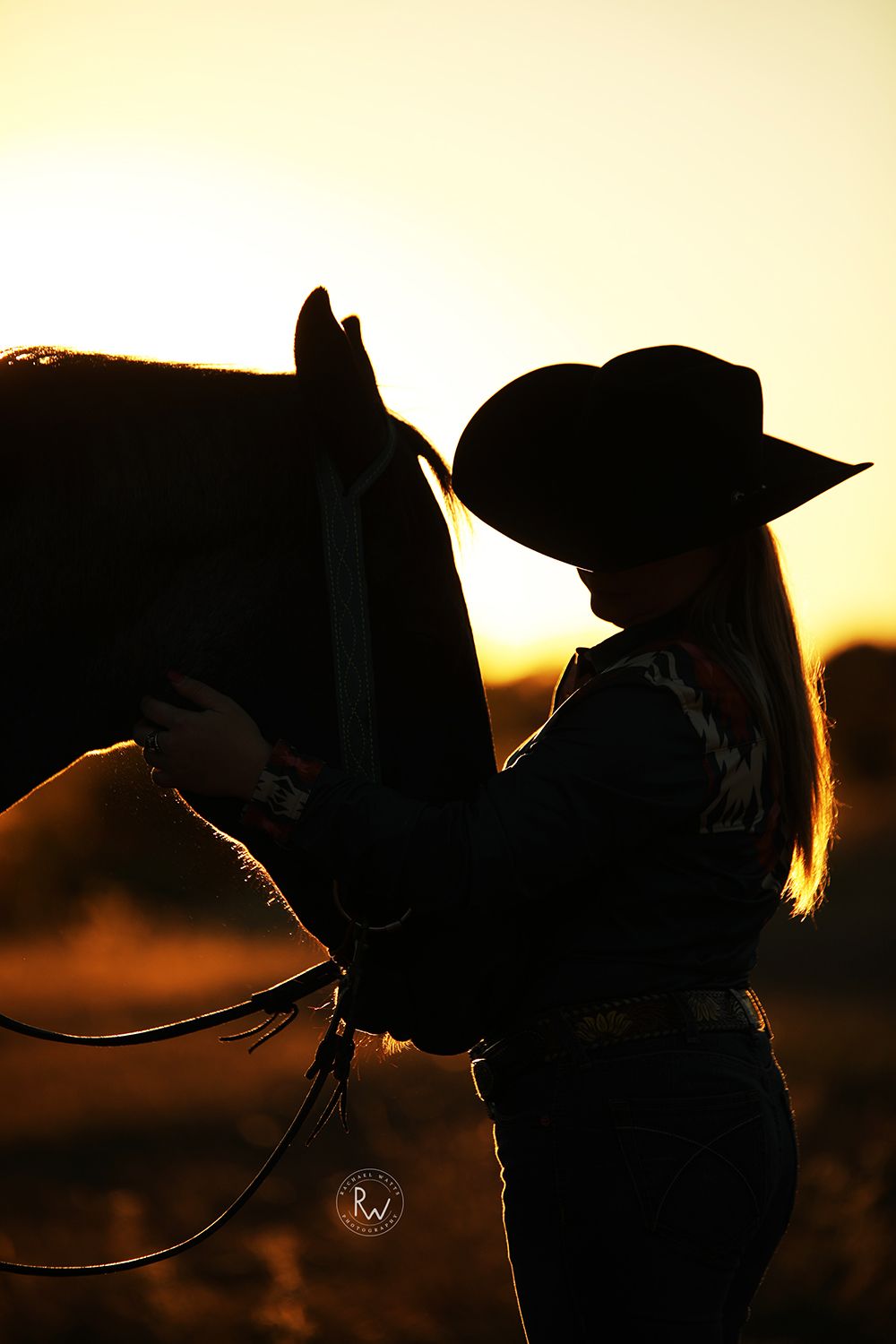silhouette of a cowgirl standing next to a horse