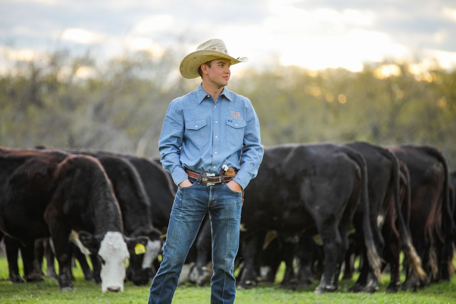 cowboy senior pictures. young man standing in a pasture with a herd of cows behind him.