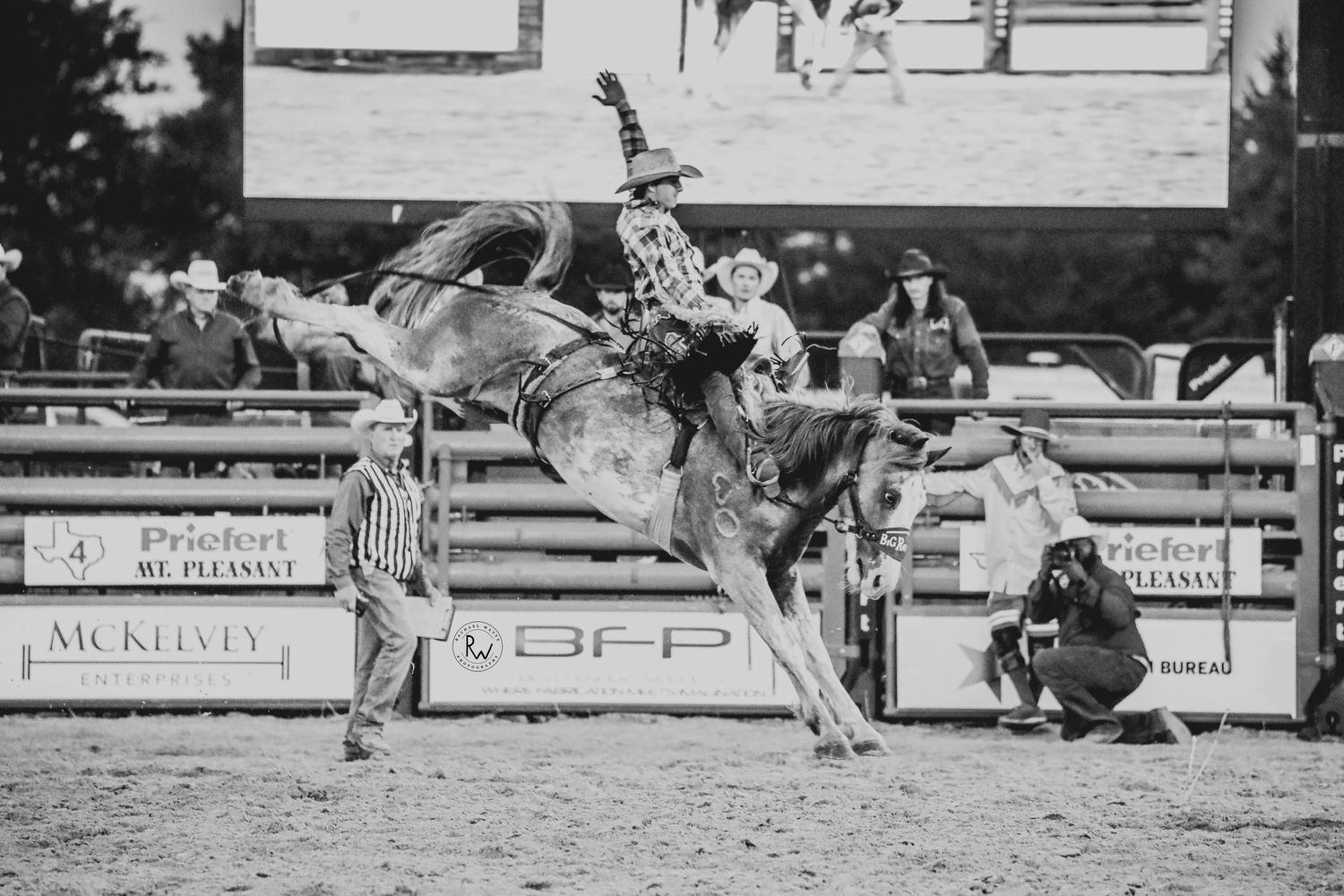 bucking horse photographed at Mount Pleasant PRCA rodeo