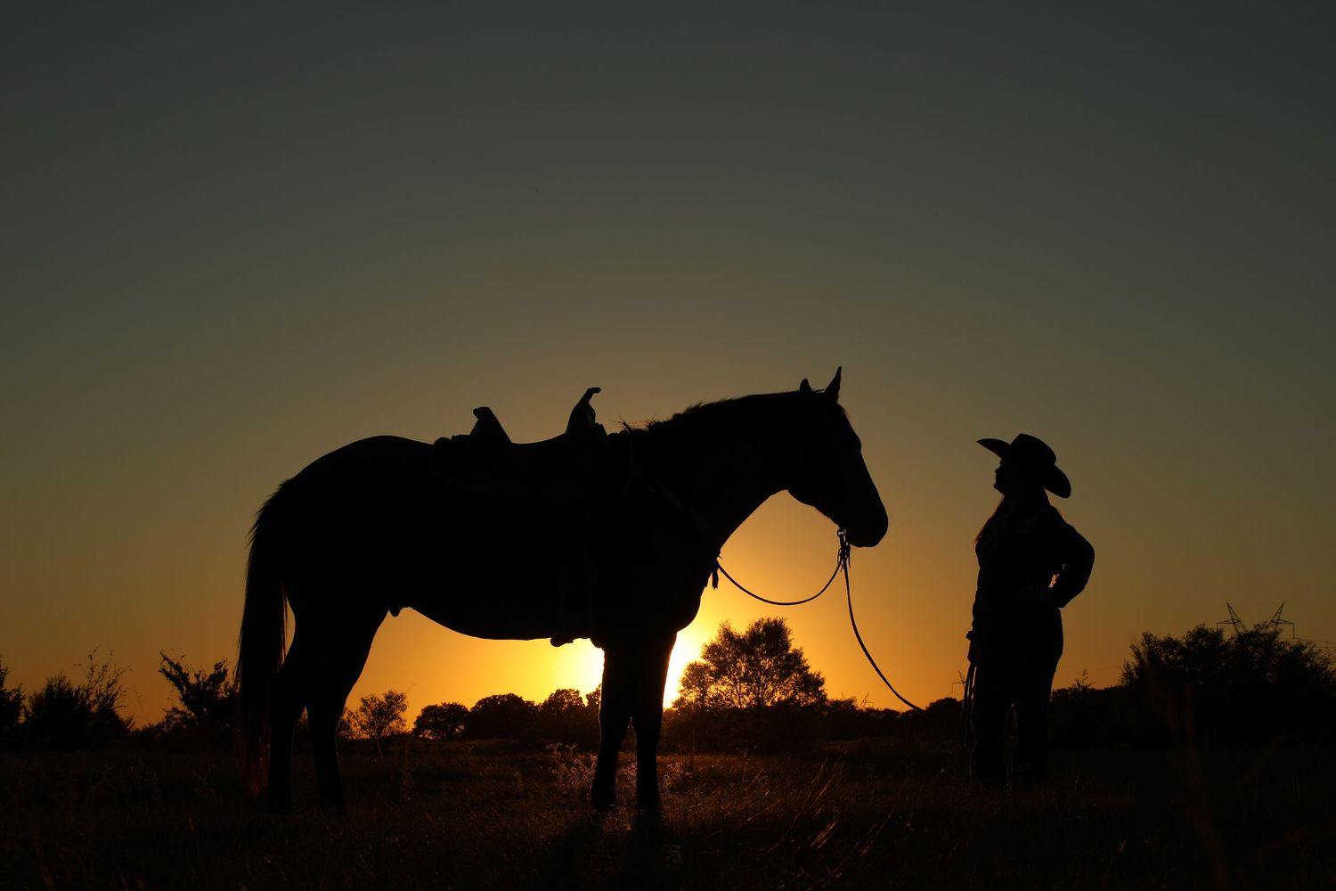 sunset silhouette woman standing next to horse. Greenville, Texas equine photographer