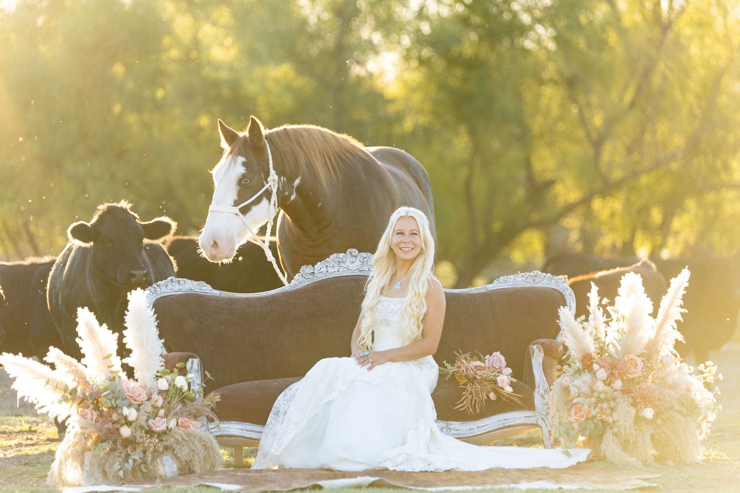 western bridal portraits, equestrian, bride with horse, cowgirl, cattle, horses