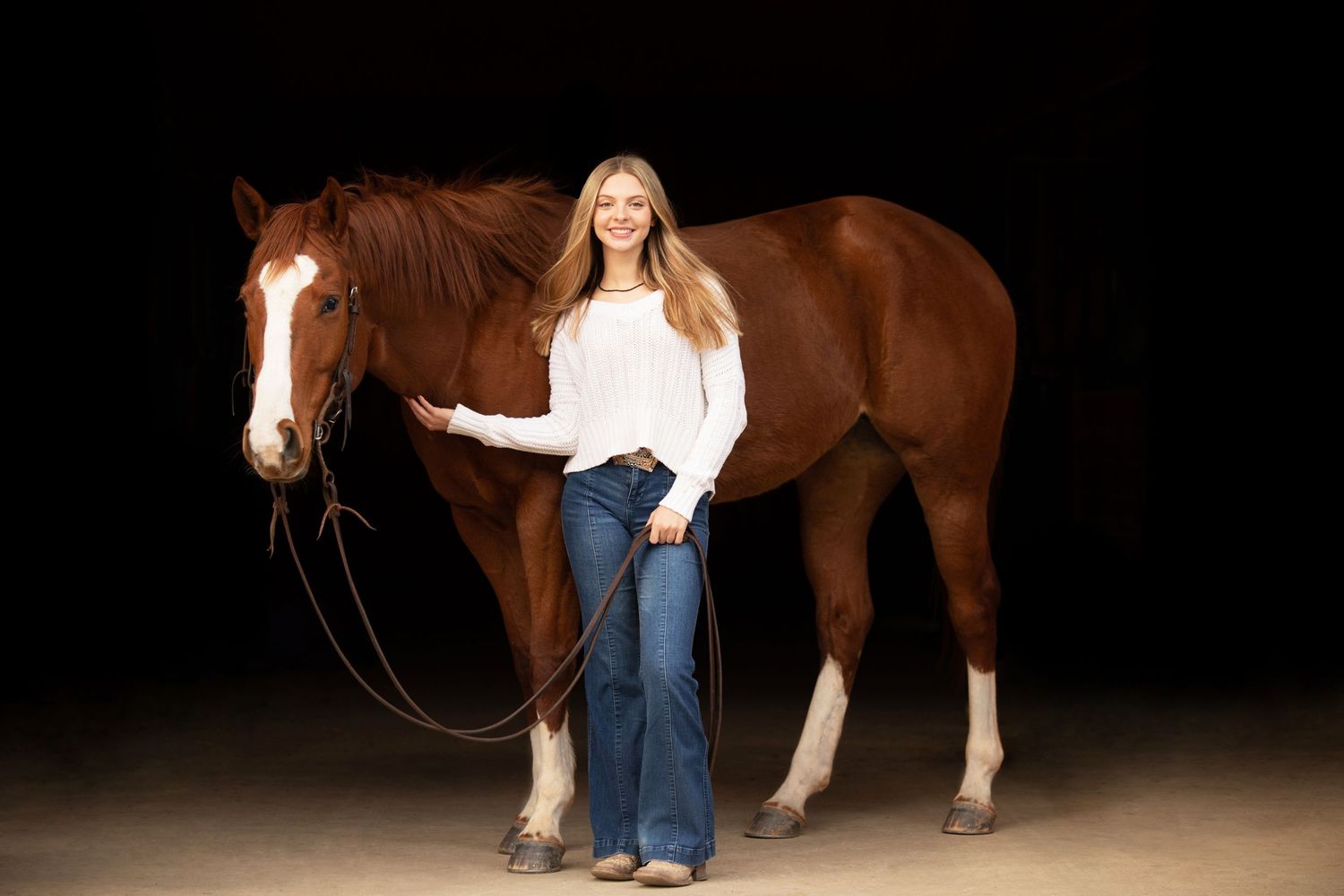 equine black background portraits, Dallas, Rockwall, Terrell, Tyler, Sulphur Springs, Greenville.