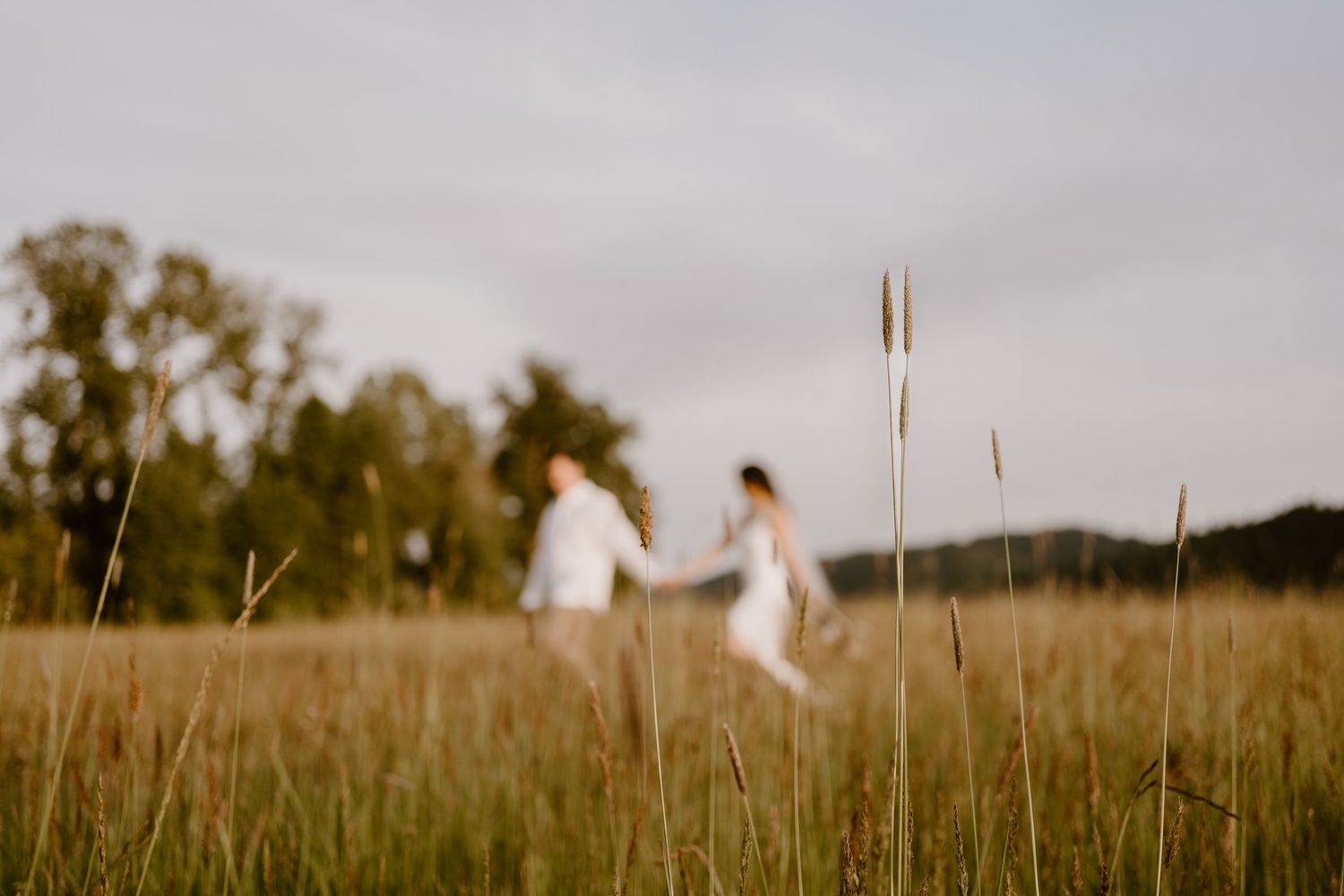 Silhouetted figures walk through a serene meadow at sunset.