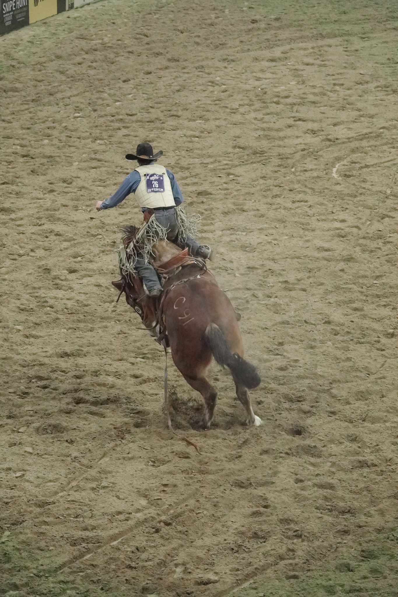 colorado rodeo photographer, capturing faith and love for animals. The grit behind the life, colorado photographer, colorado photographer