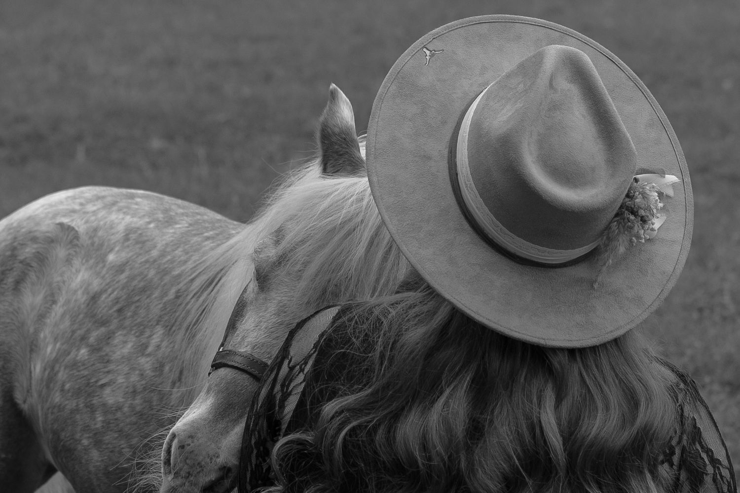 Colorado ranch branding photographer
branding photography western
ranch branding photos
cowboy headshots
western branding session photograph