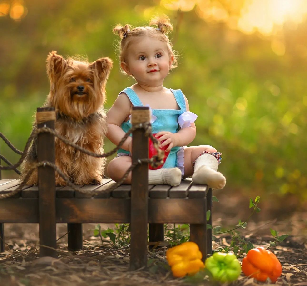 A toddler girl sits on a small wooden bench outdoors with a Yorkshire Terrier dog, beside colorful bell peppers in warm sunlight.