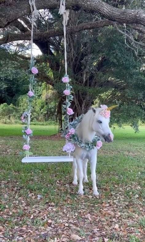 A white miniature horse dressed as a unicorn with pink floral wreath stands beside a decorated garden swing hung from a tree.