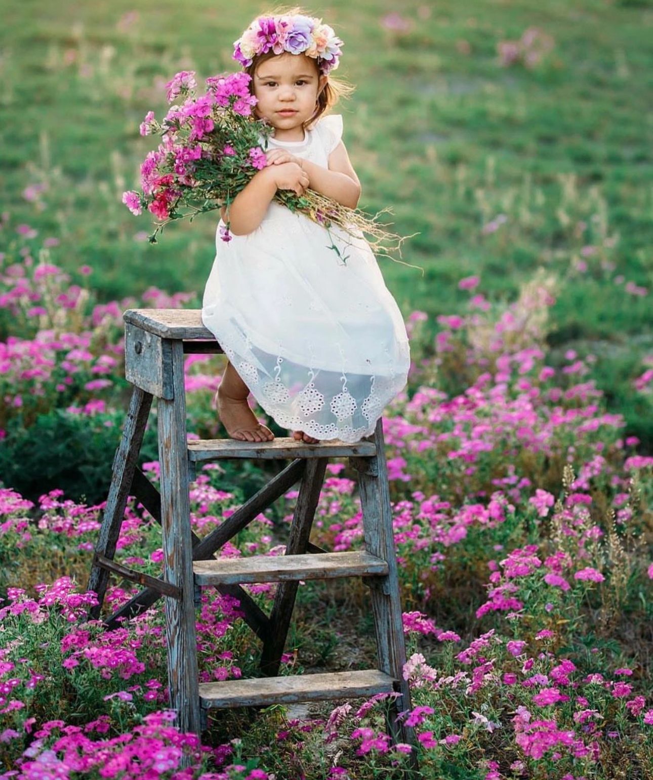 Young girl in white dress holds flowers on wooden ladder in pink flower field.