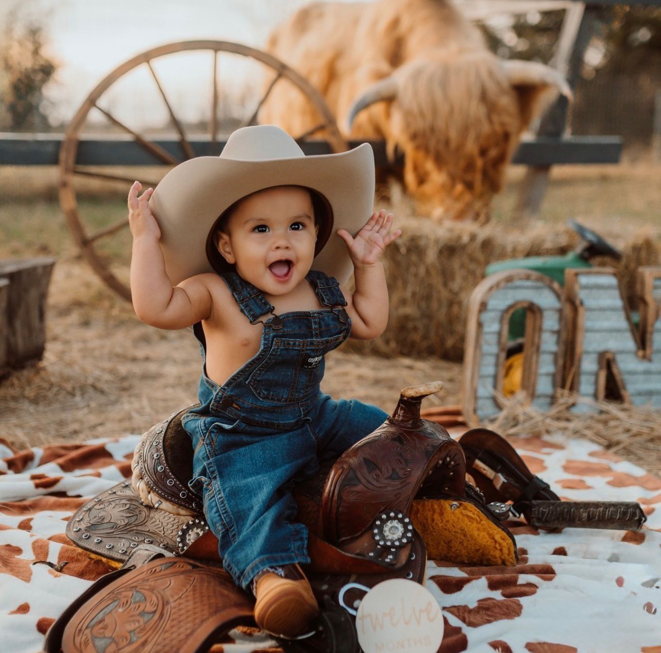 Adorable toddler in denim overalls and cowboy hat sits on a saddle outdoors with a highland cow in background.