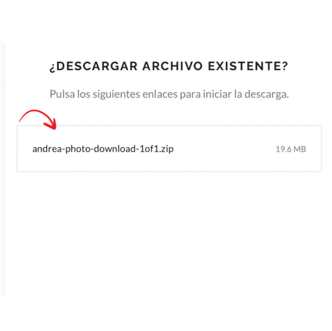 Download dialog showing andrea-photo-download-1of1.zip file of 19.6MB with a red arrow pointing to the link.