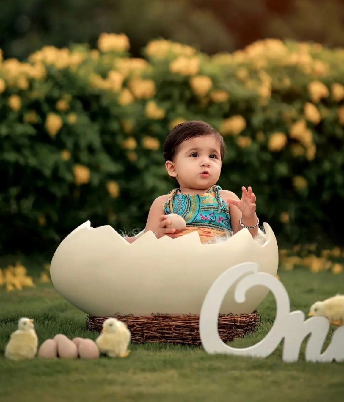 Baby sitting in a giant cracked egg prop with small chicks and eggs nearby, celebrating first birthday outdoors.