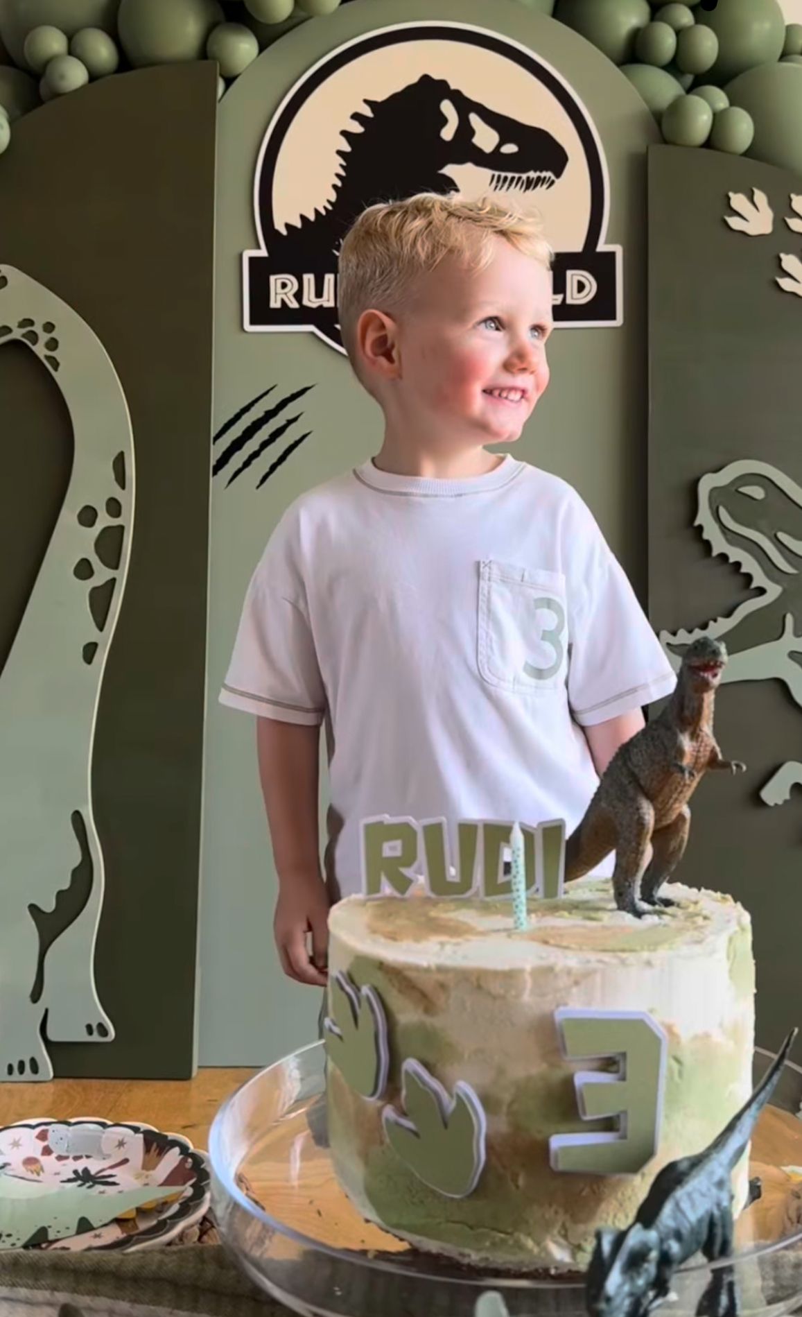 A birthday celebration with dinosaur wall decorations and a white frosted cake with a candle on top.