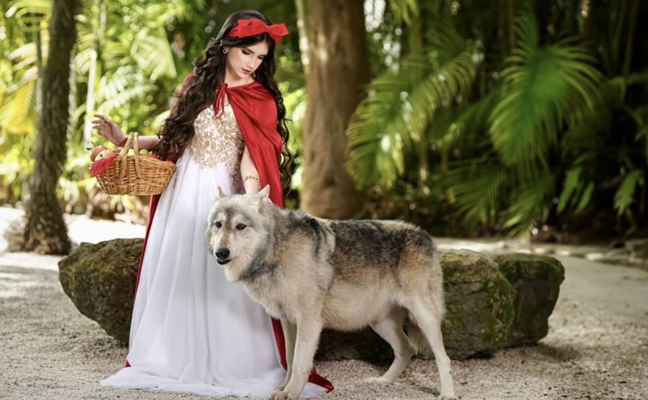 Woman in Red Riding Hood costume with white gown and red cape holds basket beside a wolf outdoors.