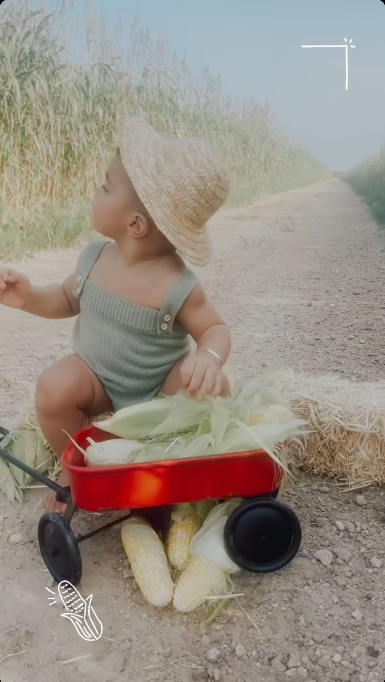 Baby in straw hat sits in red wagon with fresh corn on a sunny farm dirt path.