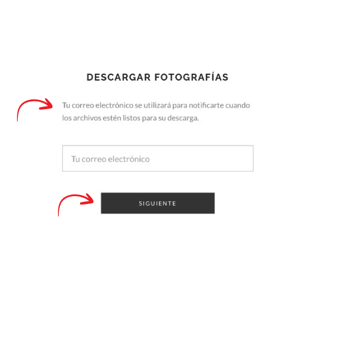 Spanish photo download page with email input field and siguiente button for file download notification.