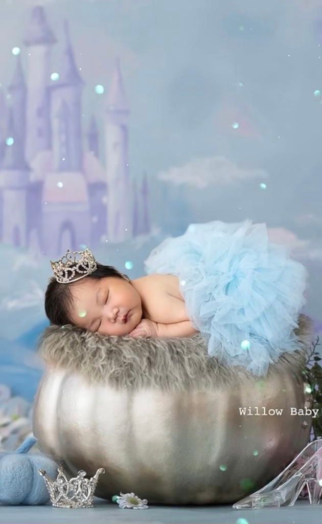 Newborn baby sleeping in silver pumpkin with blue tutu and crown, Cinderella-themed photo by Willow Baby.