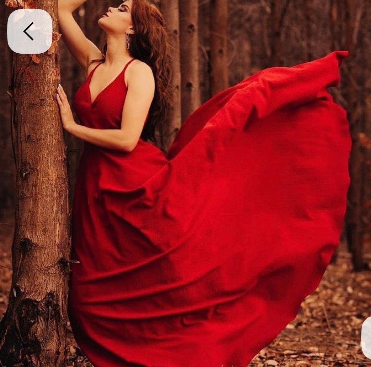 Woman in flowing red gown poses against tree in forest, dramatic fabric billowing in wind.