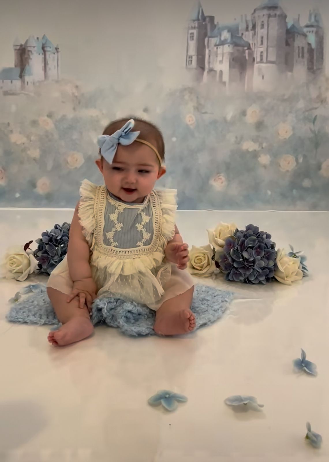 Baby portrait session with vintage dress against castle backdrop with blue butterflies.