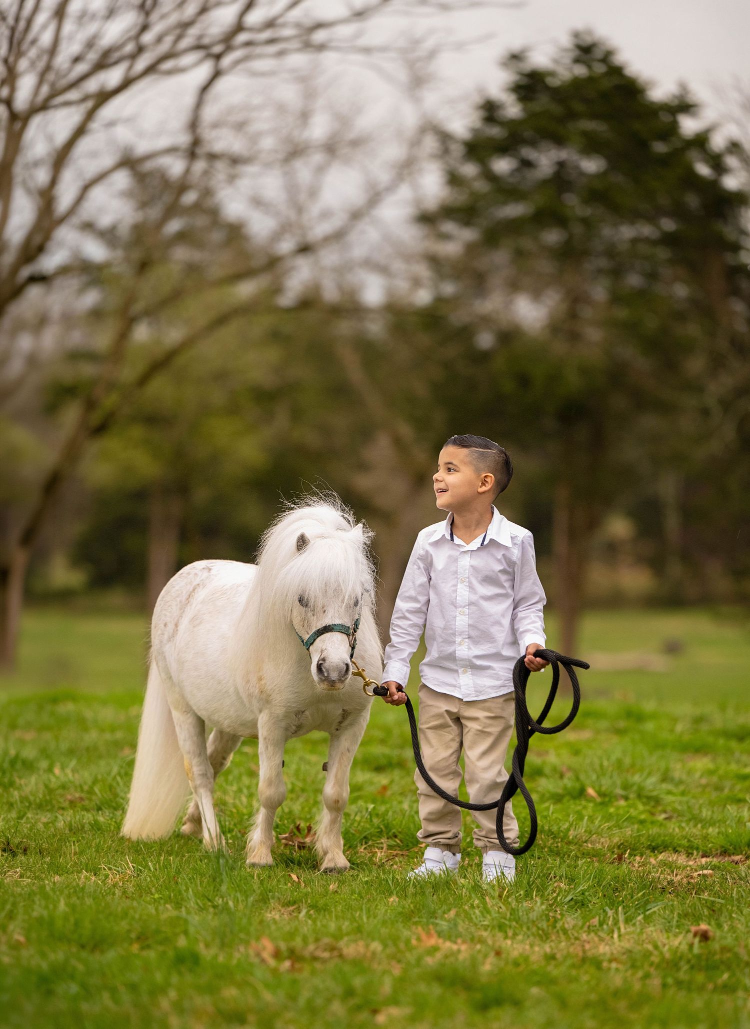 A young boy in a white shirt holds the reins of a white Shetland pony on a green grass field with trees in the background.