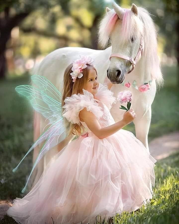 A young girl in a pink tulle fairy dress with butterfly wings and floral crown poses beside a white pony with pink flowers.