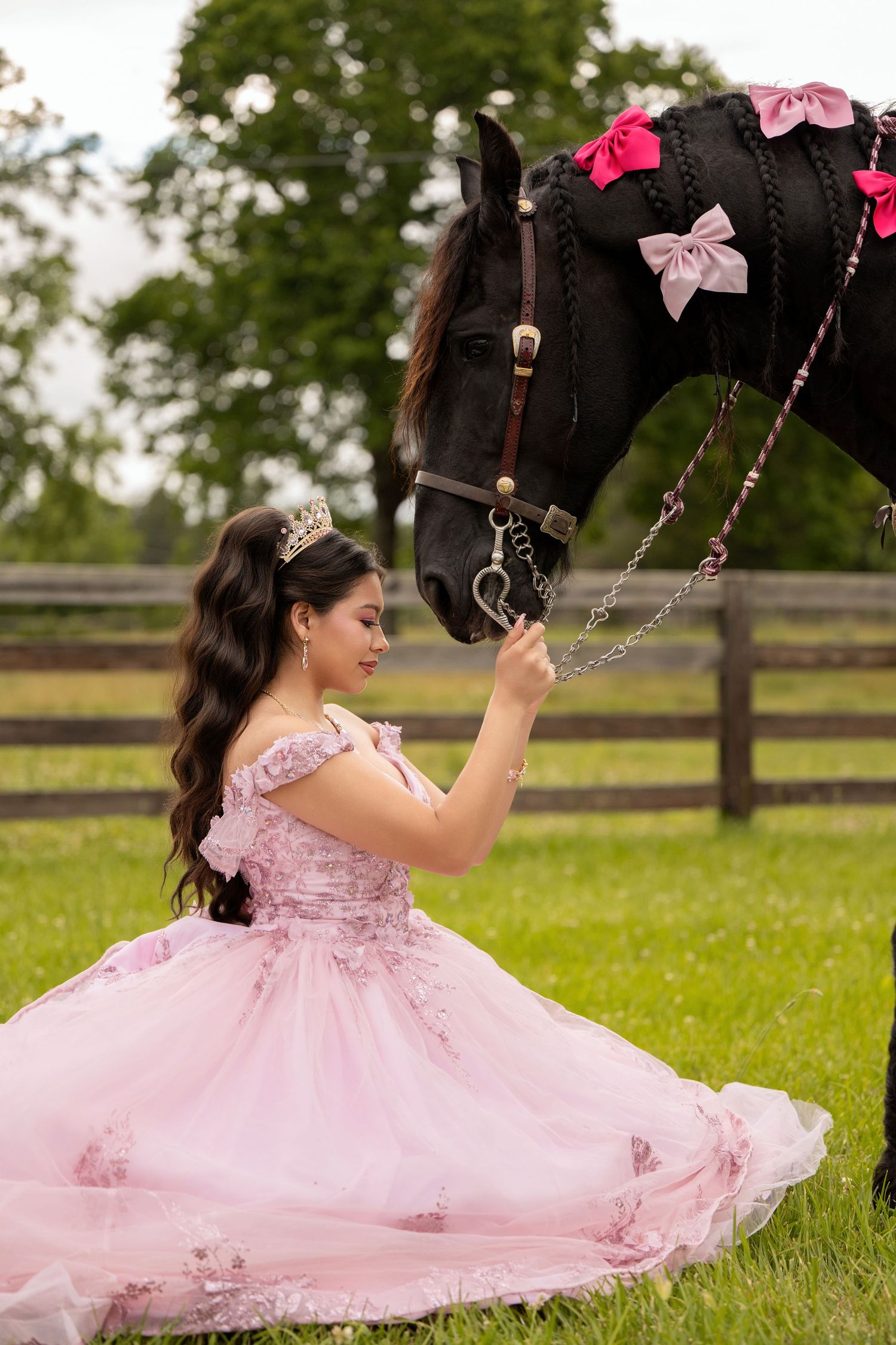 A young woman in a pink quinceañera gown and tiara kneels on grass, feeding a black horse adorned with pink bows.