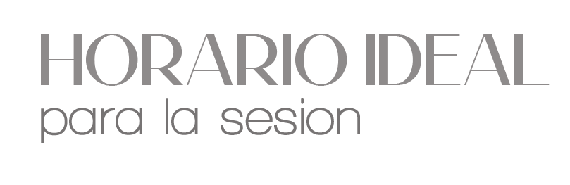 Minimalist gray text graphic reading Horario Ideal para la sesion, ideal session time typography design.