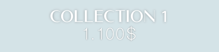 Light blue banner with white text reading Collection 1 and a price of 1,100 dollars.