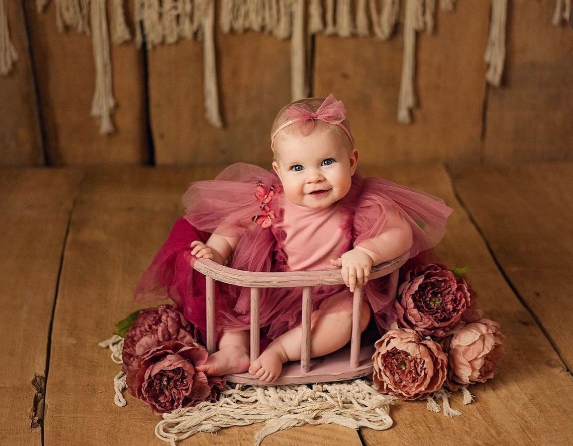 Baby in pink tulle dress sitting in round prop with burgundy roses and rustic backdrop.