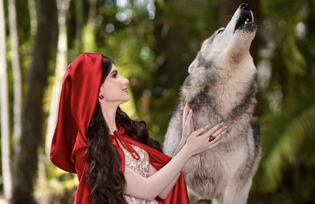 Woman in red riding hood costume gently touching a wolf in a lush green forest setting.